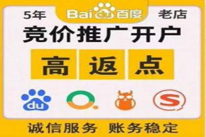 SEM托管公司案例分析:精准定位用户